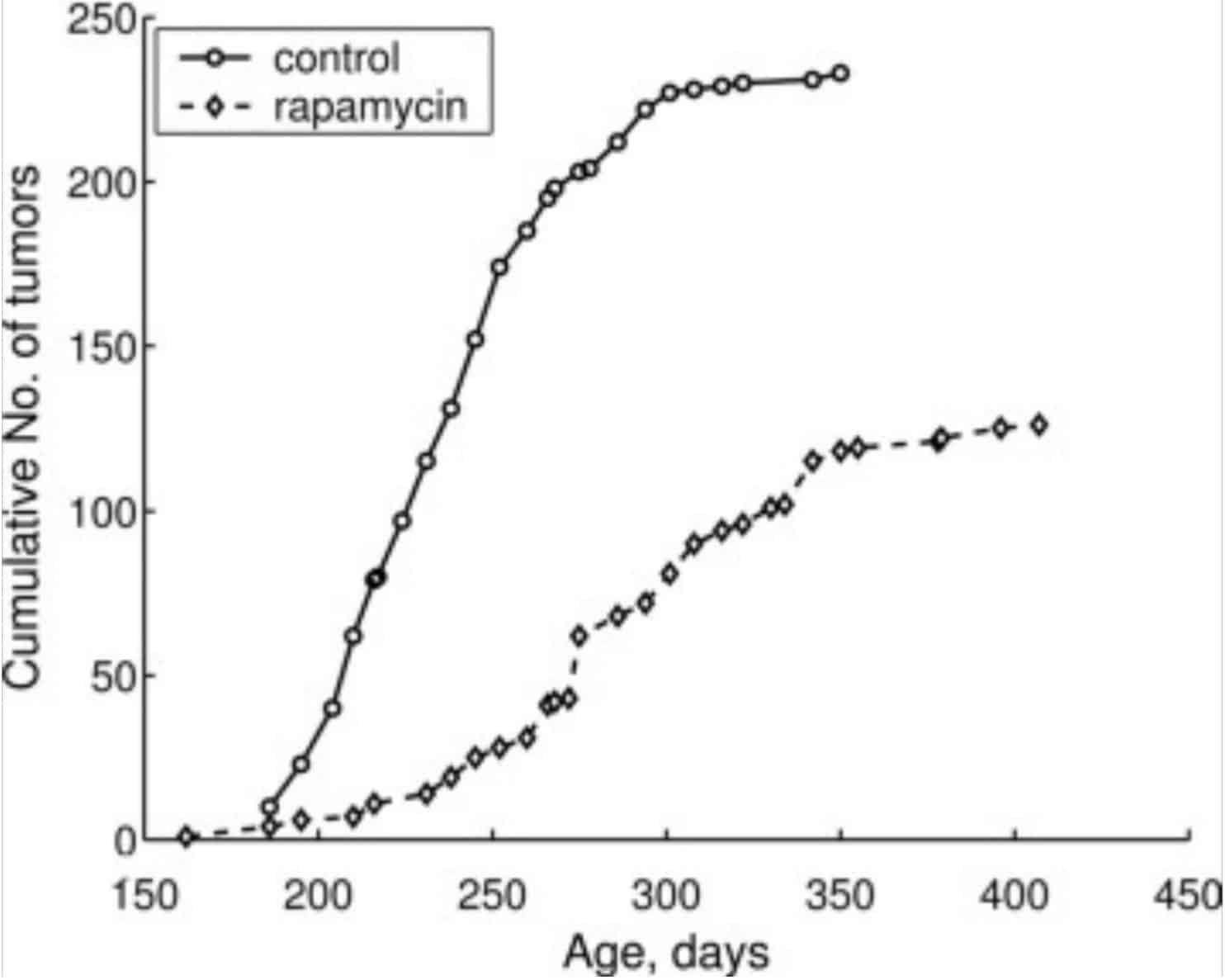 Rapamycin reduces tumor growth in mice