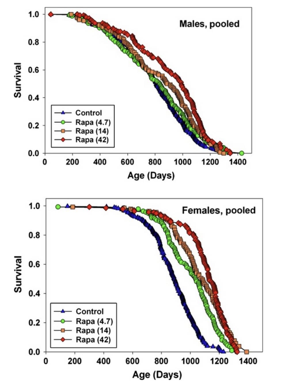 rapamycin lifespan studies different doses